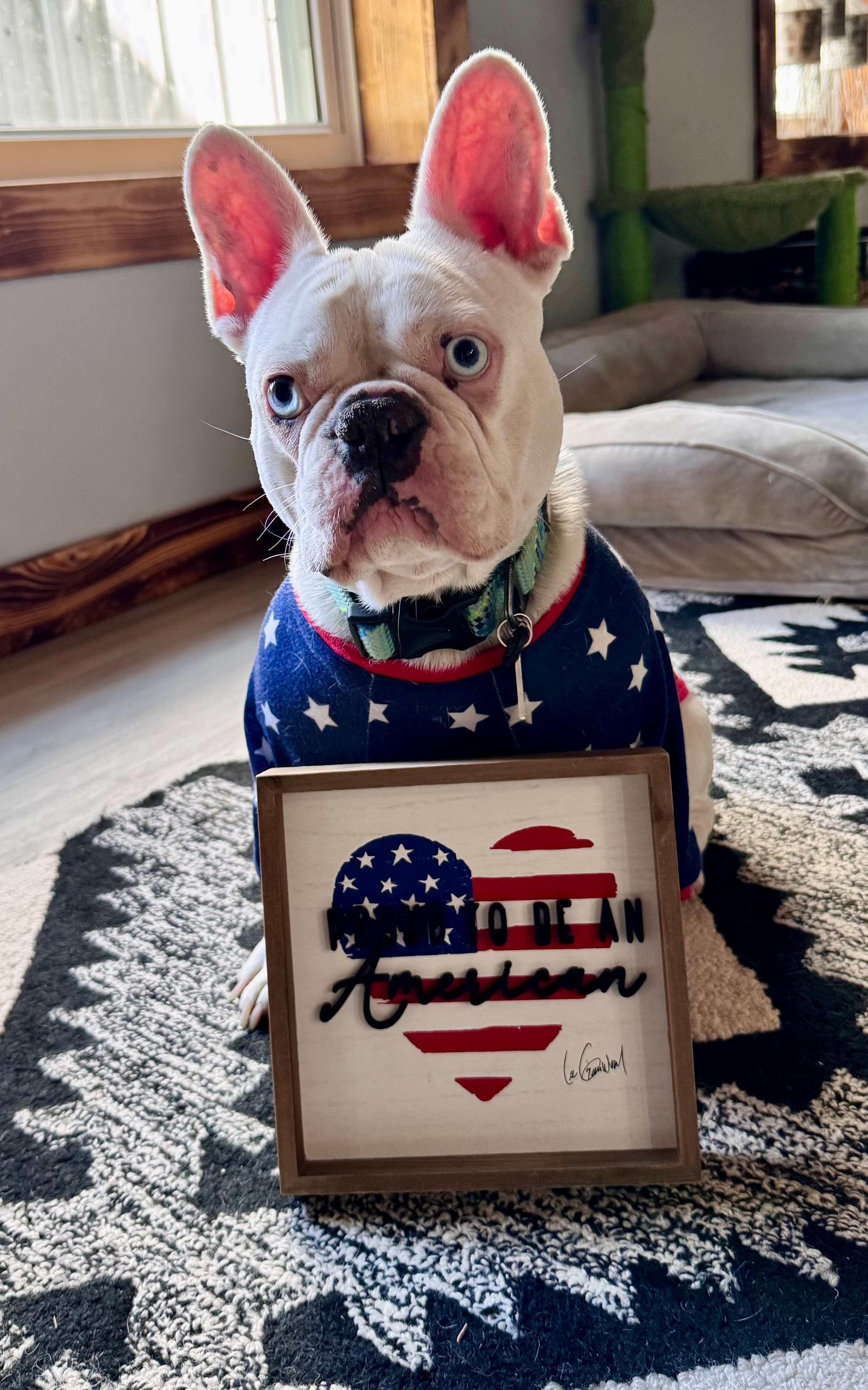 Help with IVDD (spine) surgery costs